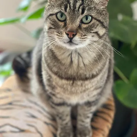 Maison Circe Loupiac (Gironde)