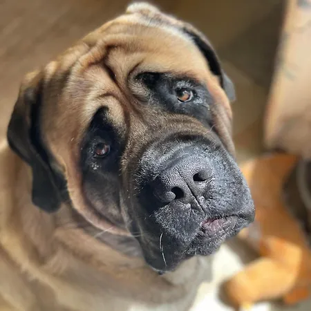 Bed & Breakfast Maison Circe 3*