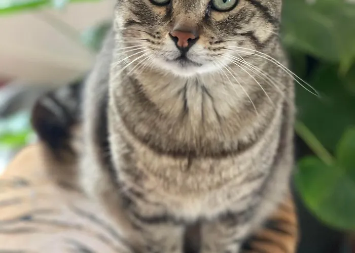 Maison Circe Loupiac (Gironde)