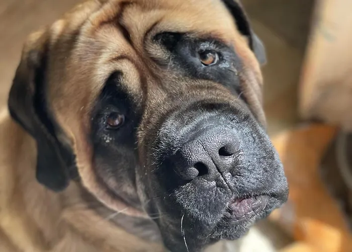 Nocleg ze śniadaniem Maison Circe 3*